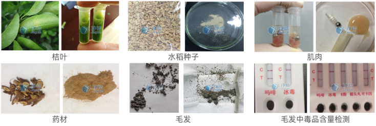 1720603765149400.png 1720603765149400.png